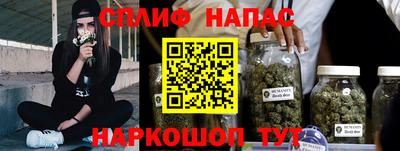 амф Гусев