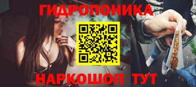 амф Гусев
