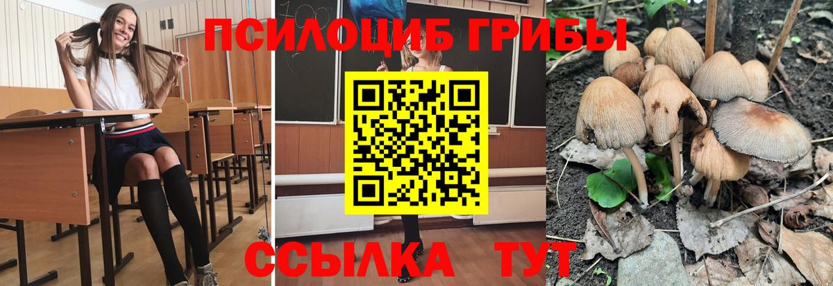 Галлюциногенные грибы мухоморы  Вход с VPN  Галлюциногенные грибы Magic Shrooms  Мариинск 
